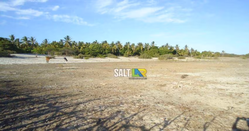 Terreno à venda, 240000 m² por R$ 800.000,00 - Centro - Beberibe/CE