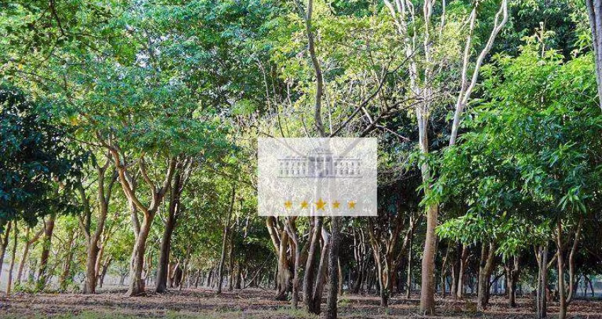 Terreno à venda, 502,50m² por R$ 106.000 - Zona Rural - Araçatuba/SP