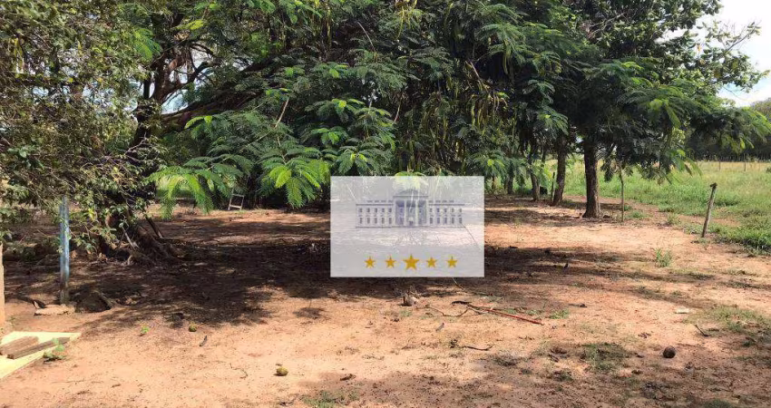 Área à venda, 58080 m² por R$ 1.200.000,00 - Zona Rural - Buritama/SP