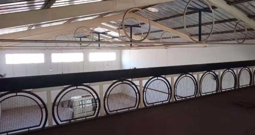 Barracao, 300 m2 - venda por r$ 1.800.000,00 ou aluguel por r$ 5.700,00/mes - jardim do prado - aracatuba/sp