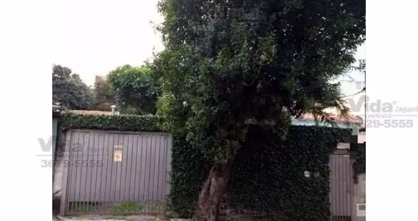 Chácara / sítio à venda na Avenida Yara, Vila Yara, São Paulo