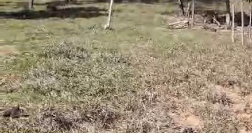 Chácara em Zona Rural de Mesquita