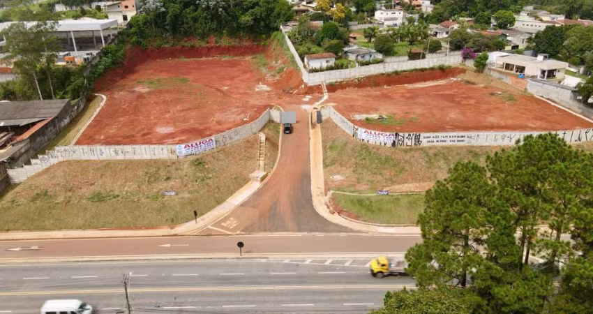 Terreno, 8500 m² - venda por R$ 16.000.000,00 ou aluguel por R$ 36.000,00/mês - Palmeiras de São Paulo - Suzano/SP