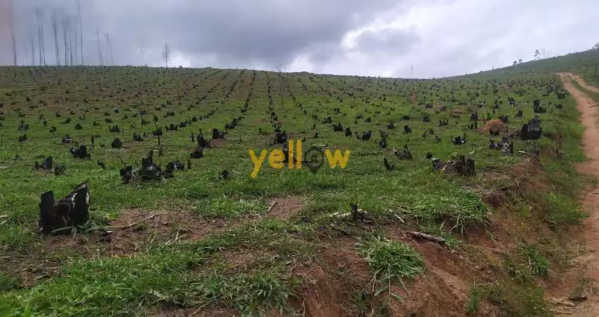 Terreno residencial em pouso alegre  -  santa isabel