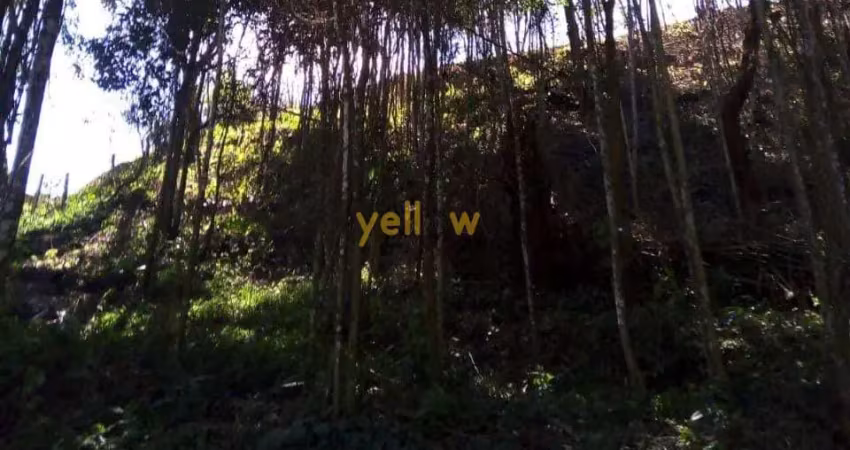 Terreno rural em aralu - santa isabel: venda e locação por r$120.000