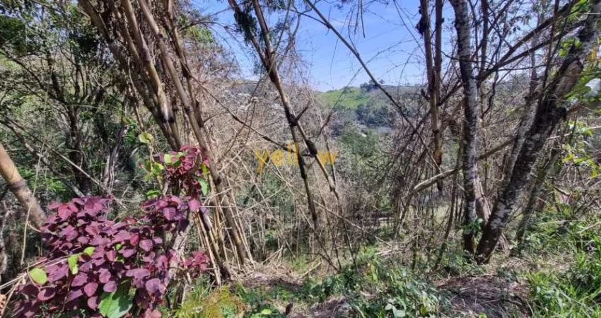 Terreno Rural em Aralu - Santa Isabel: Venda e Locação por R$155.000