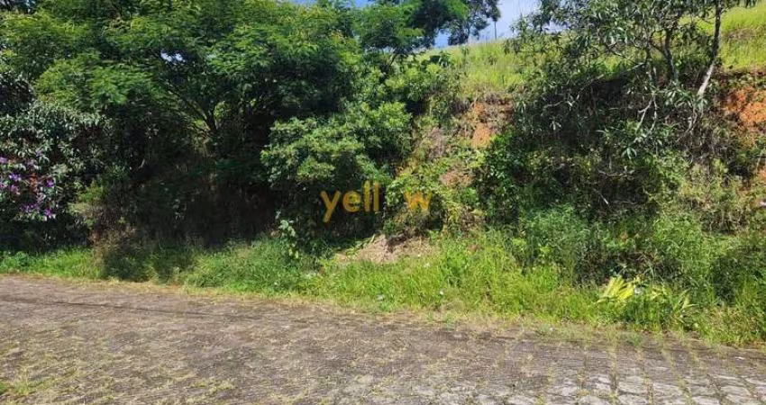 Terreno Residencial em Parque Santa Tereza - 683,76m²
