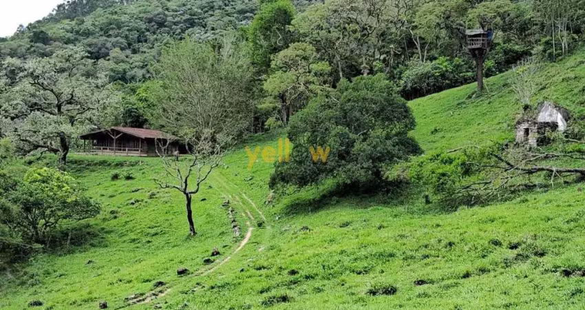Chácara / sítio com 3 quartos à venda na Zona Rural, Santa Isabel 