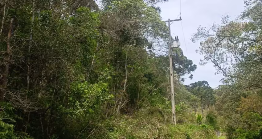Chácara / sítio à venda na Rua Catarina knapik, Palmitalzinho, Quatro Barras