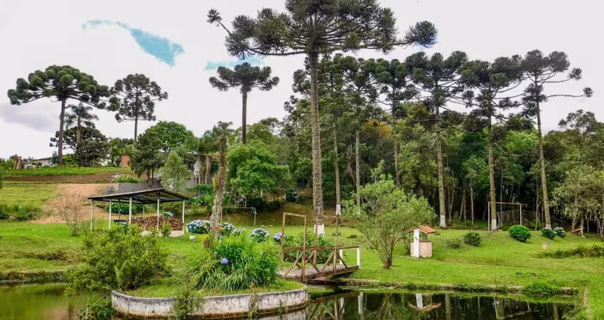 Espetacular Chácara a venda em São José dos Pinhais