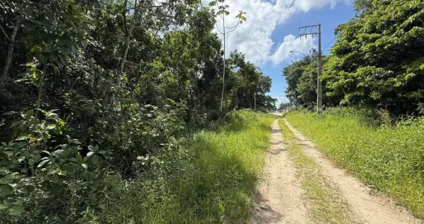 Terreno à venda no Meia Praia, Navegantes 