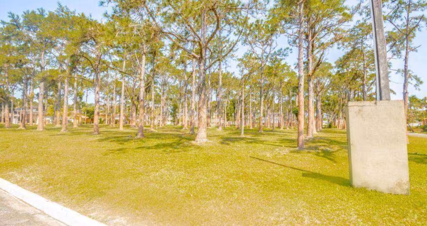 Terreno à venda, 1000 m² por R$ 1.700.000,00 - Acapulco - Guarujá/SP