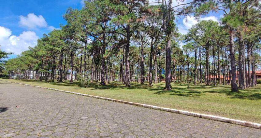 Terreno à venda- Acapulco - Guarujá/SP