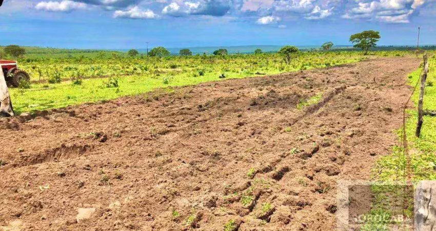 Fazenda à venda, 10210000 m² por r$ 16.000.000,00 - centro - alto araguaia/mt