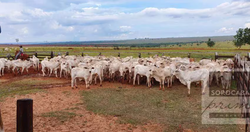 Fazenda à venda, 3242800 m² por r$ 28.500.000,00 - centro - itajobi/sp