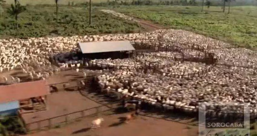 Fazenda à venda, 4270000000 m² por r$ 8.000.000.000,00 - nova marabá - marabá/pa