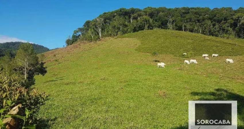 Fazenda à venda, 202000 m² por R$ 980.000,00 - Serra - Iporanga/SP