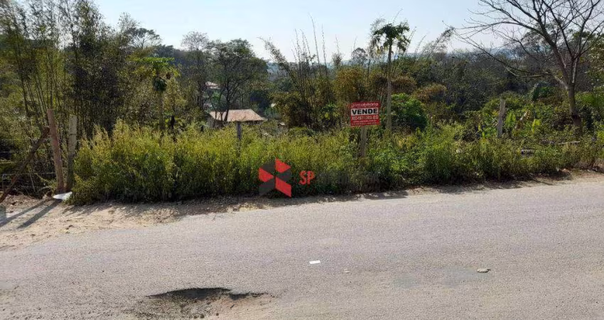 Terreno à venda, 1300 m² por R$ 50.000,00 - Vila Favorino - Caçapava/SP