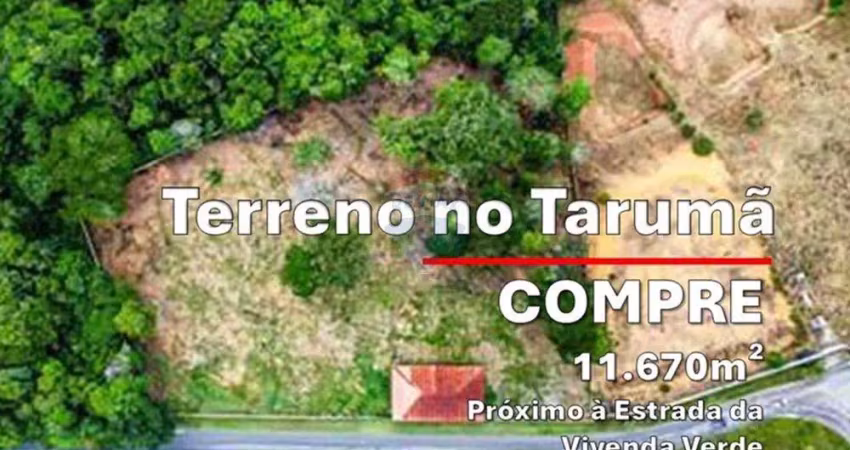Terreno à venda, tarumã, 11.670m², próximo à estrada da vivenda verde