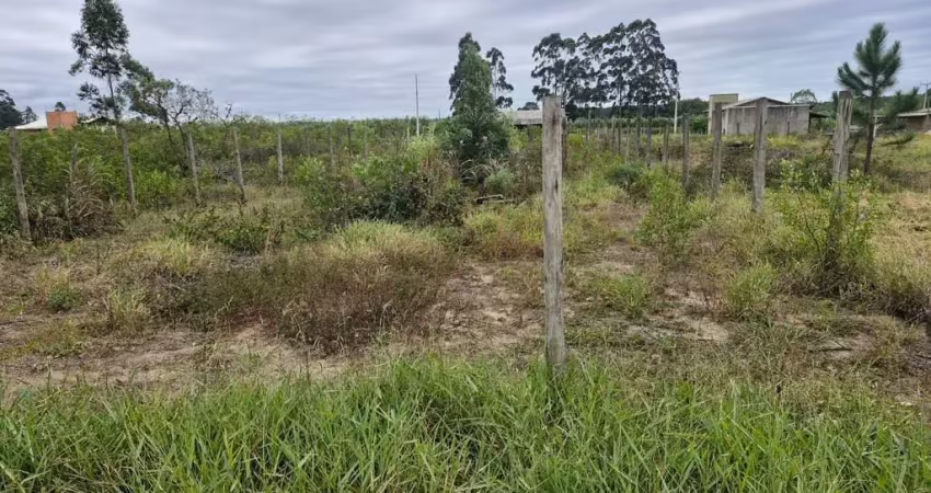Terreno à venda na Estrada Geral, 1003, Curralinhos, Passo de Torres