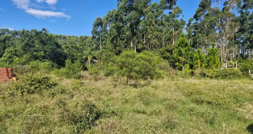 Chácara / sítio à venda na Estrada Geral, 1006, Zona Rural, Balneário Gaivota