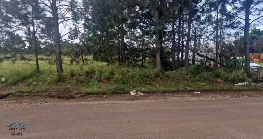 Terreno à venda na Rua da Corvina, 1005, Novo Passo, Passo de Torres