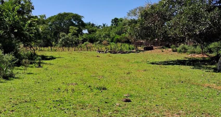 Fazenda à Venda em Nova Xavantina - MT