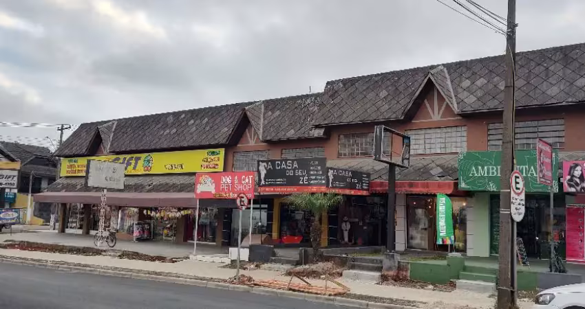 Sala comercial com 2 salas à venda na Rua Professor Nivaldo Braga, 193, Cajuru, Curitiba