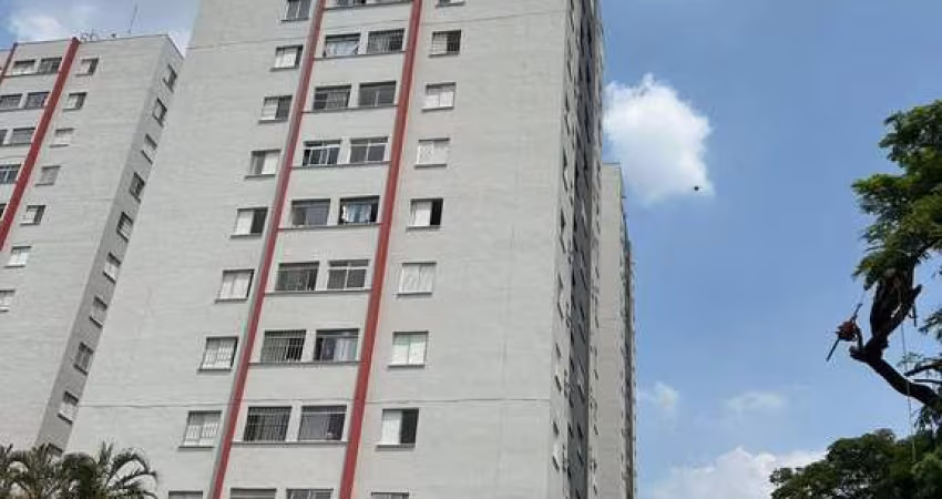 Apartamento em Brás  -  São Paulo