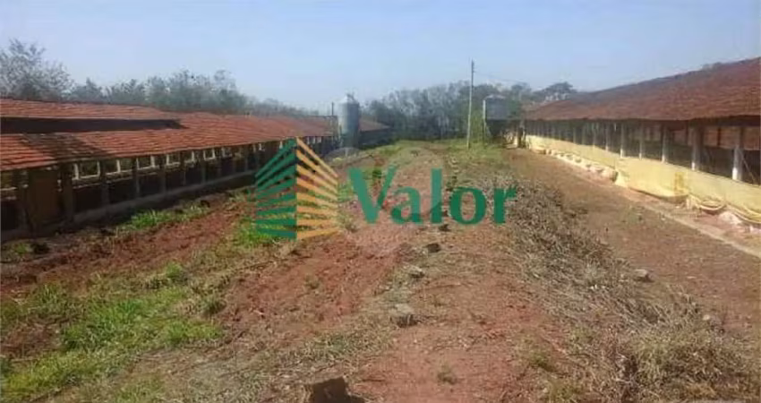 Sítio estrada são carlos ribeirão - próximo são carlos
