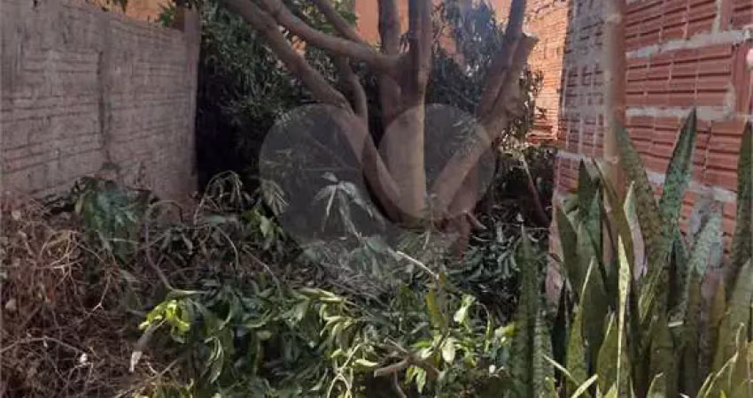 Terreno à venda na Rua Pará, Jardim Pacaembu, São Carlos