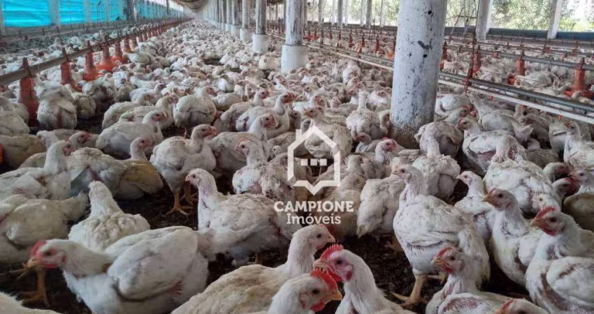 Sítio à venda, 243600 m² por r$ 4.000.000,00 - zona rural - iperó/sp
