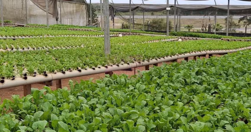Chácara para venda em suzano, parque palmeiras, 1 dormitório, 1 banheiro