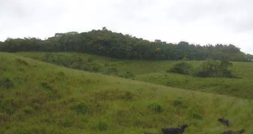 Terreno à venda no Parque Santa Rosa, Suzano 
