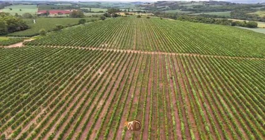 Fazenda à venda no Centro, São José da Barra 