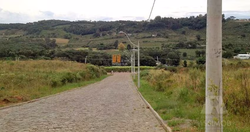 Terreno à venda na Estrada Municipal Avelina Tomazzoni Piccoli, Monte Bérico, Caxias do Sul