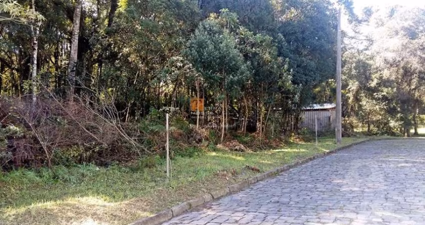 Terreno à venda na Rua Adolpho Libardi, 11, São Virgílio, Caxias do Sul