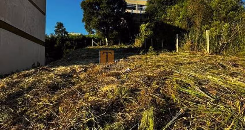 Terreno à venda na Rua Honeyde Bertussi, 1, Vinhedos, Caxias do Sul