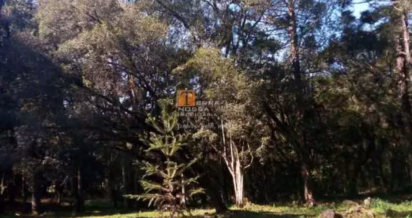 Chácara / sítio com 1 quarto à venda no Centro, São Marcos 
