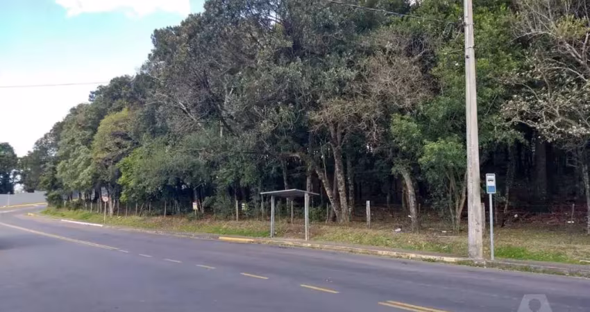 Terreno à venda no Cruzeiro, Caxias do Sul 