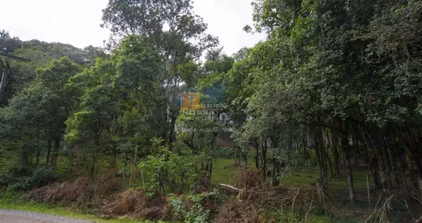 Terreno urbano com 788 m², bairro jardim eldorado em caxias do sul - rs