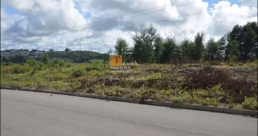 Terrenos, bairro vila cristina em caxias do sul - rs