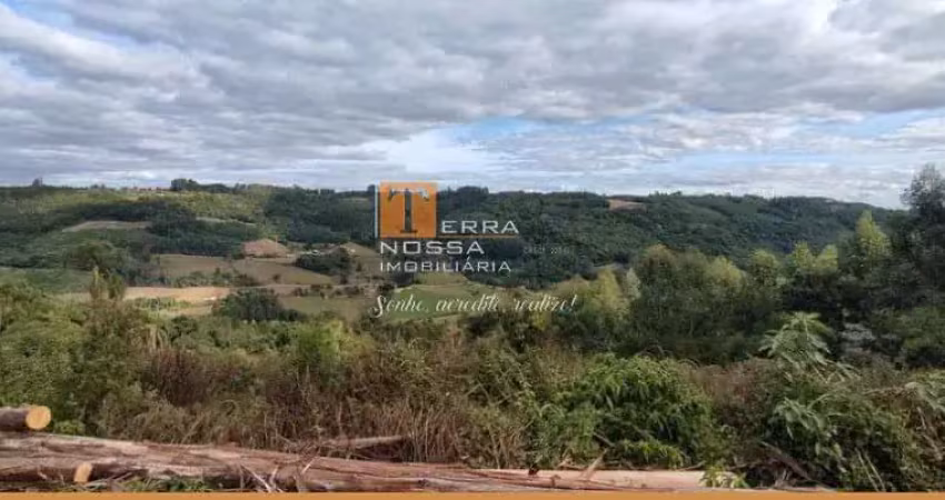 Chácara 20.000m², pinhal alto, nova petrópolis - rs