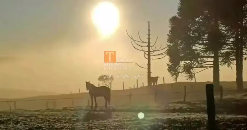 Chácara / sítio à venda em Criúva, Caxias do Sul 