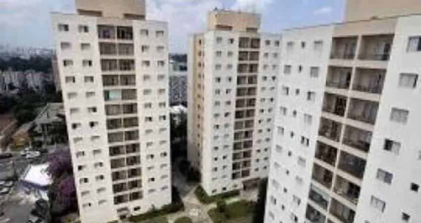 Apartamento com 3 Quartos à venda, 82m² - Vila Butantã, FL15