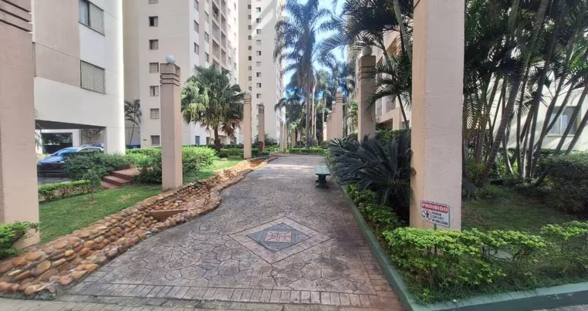 APARTAMENTO COM 3 DORMITORIOS E 65 M2 FL26