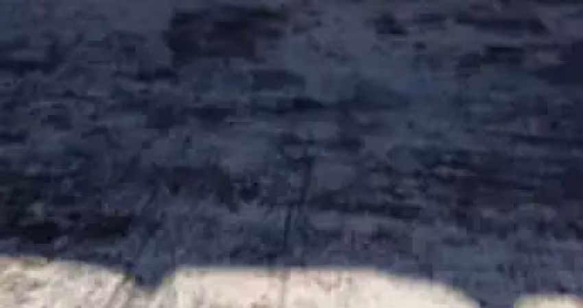 Prédio para alugar na Rua José de Moraes Ferraz, 2147483647, Conjunto Residencial Butantã, São Paulo