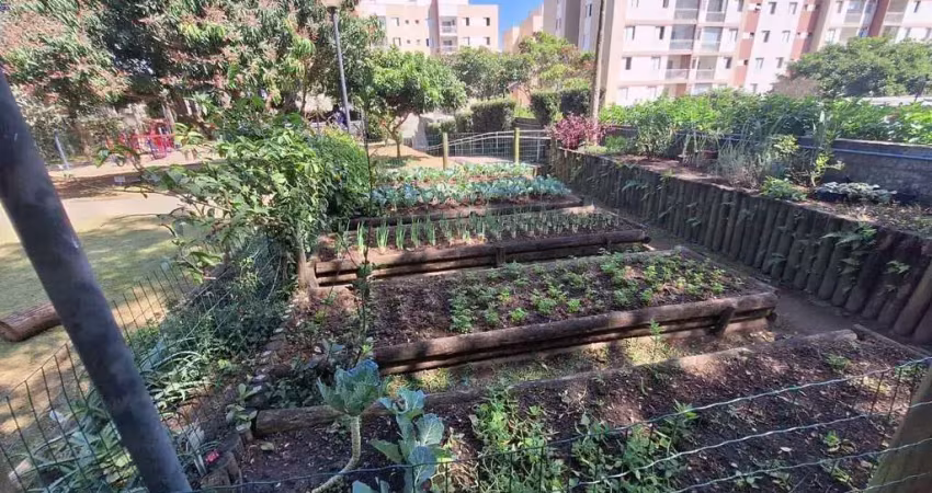Apartamento com 3 quartos para alugar na Avenida Otacílio Tomanik, 986, Vila Polopoli, São Paulo