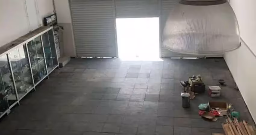 Barracão / Galpão / Depósito com 2 salas para alugar na Avenida Ministro Laudo Ferreira de Camargo, 204, Jardim Peri Peri, São Paulo