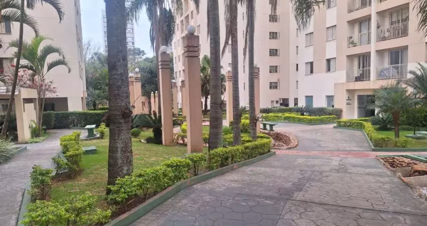 Apartamento com 3 quartos para alugar na Rua Doutor Luiz Migliano, 136, Jardim Vazani, São Paulo